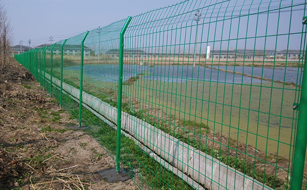 雙邊絲護欄網 雙邊絲護欄網